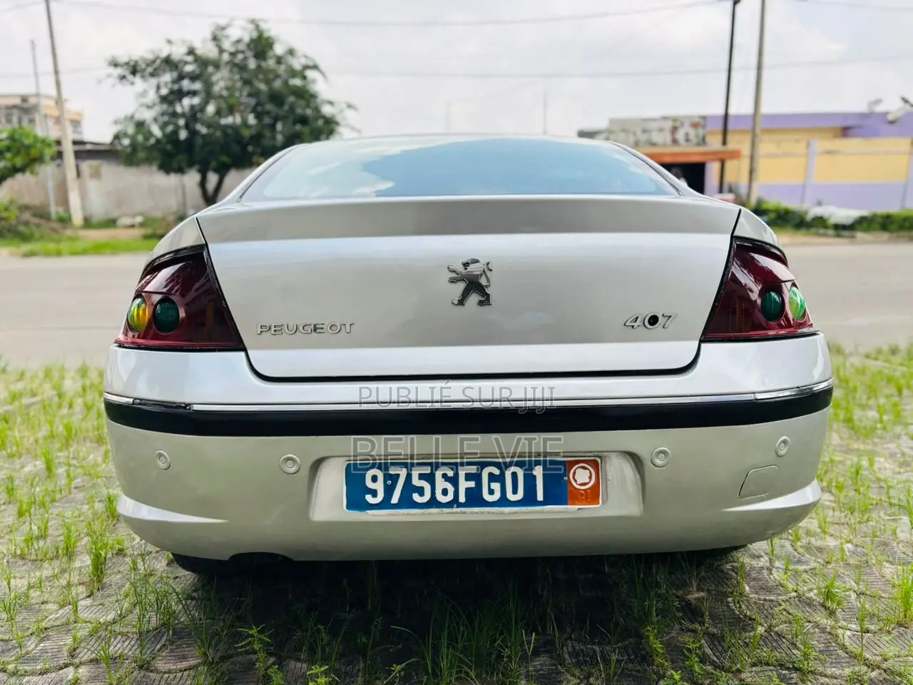 Peugeot 407 2005 Gris