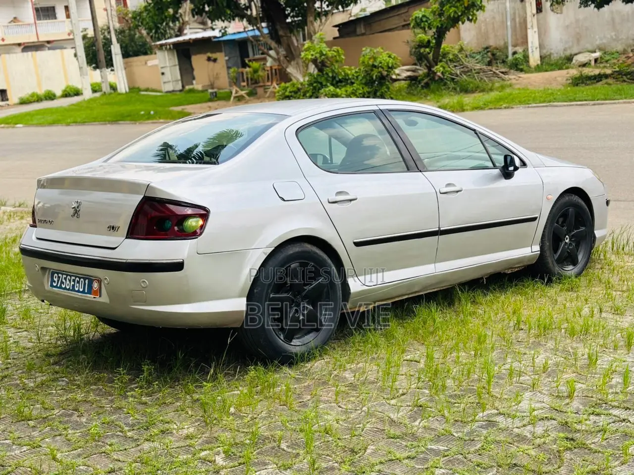 Peugeot 407 2005 Gris