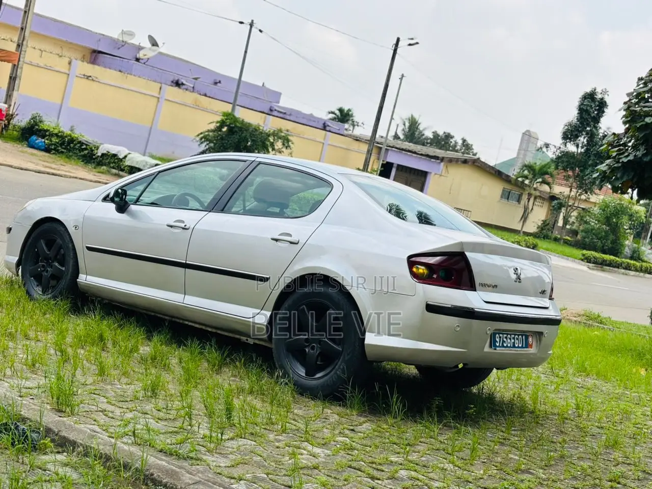 Peugeot 407 2005 Gris