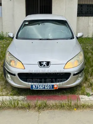 Peugeot 407 2005 Gris