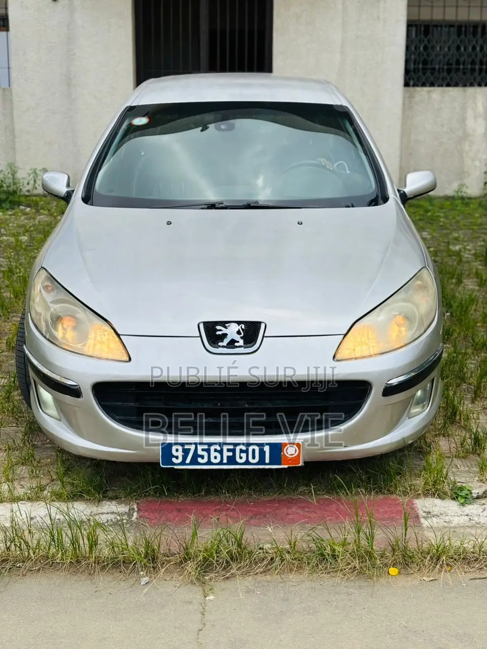 Peugeot 407 2005 Gris