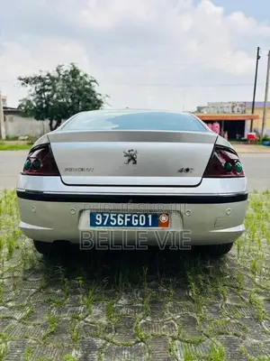 Peugeot 407 2005 Gris