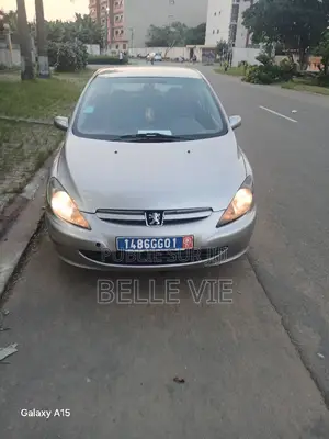 Peugeot 307 2005 Gris
