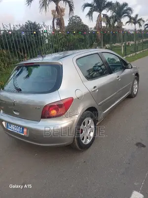 Peugeot 307 2005 Gris