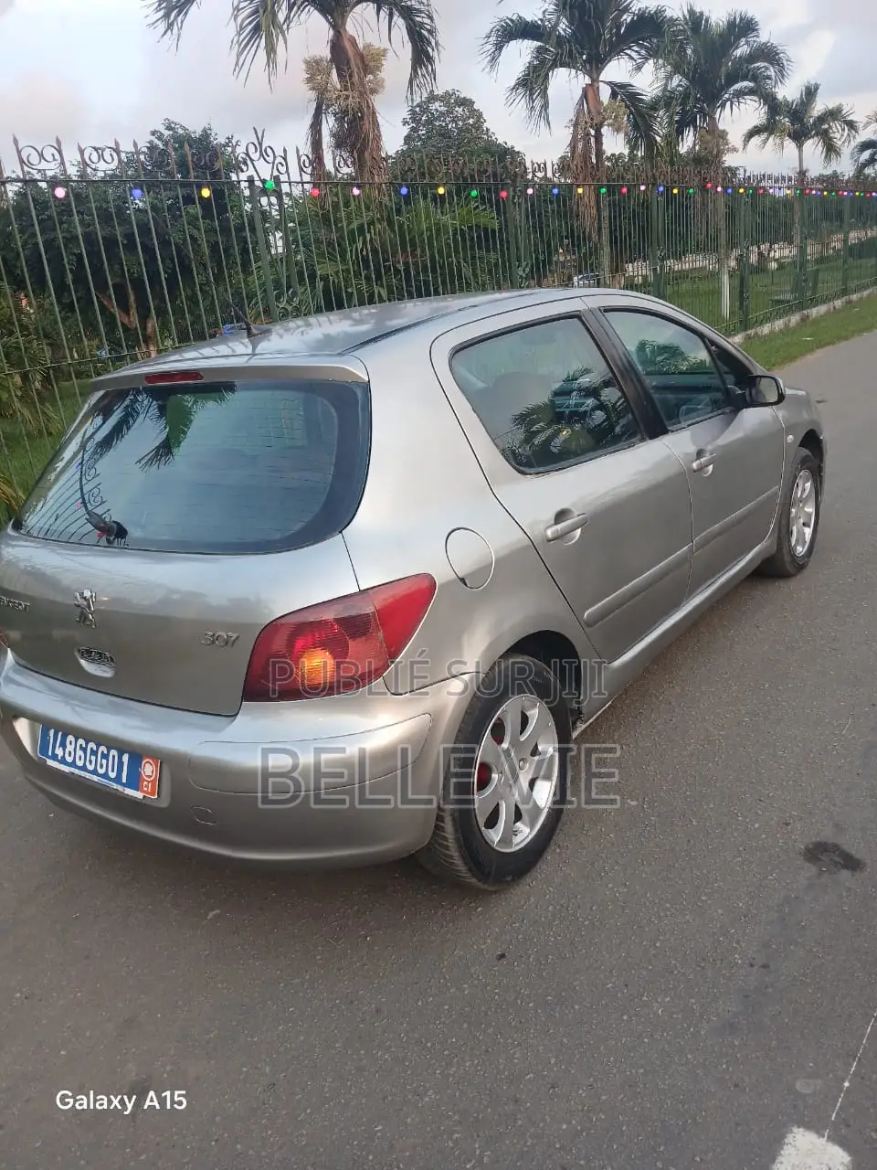 Peugeot 307 2005 Gris