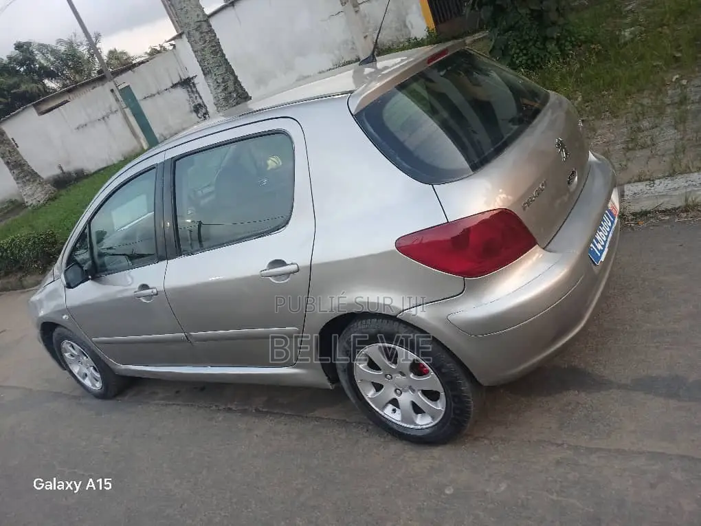 Peugeot 307 2005 Gris