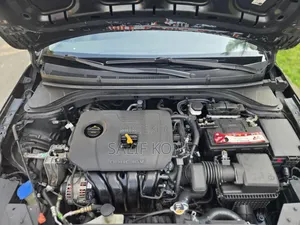 Hyundai Elantra 2020 Noir Mat