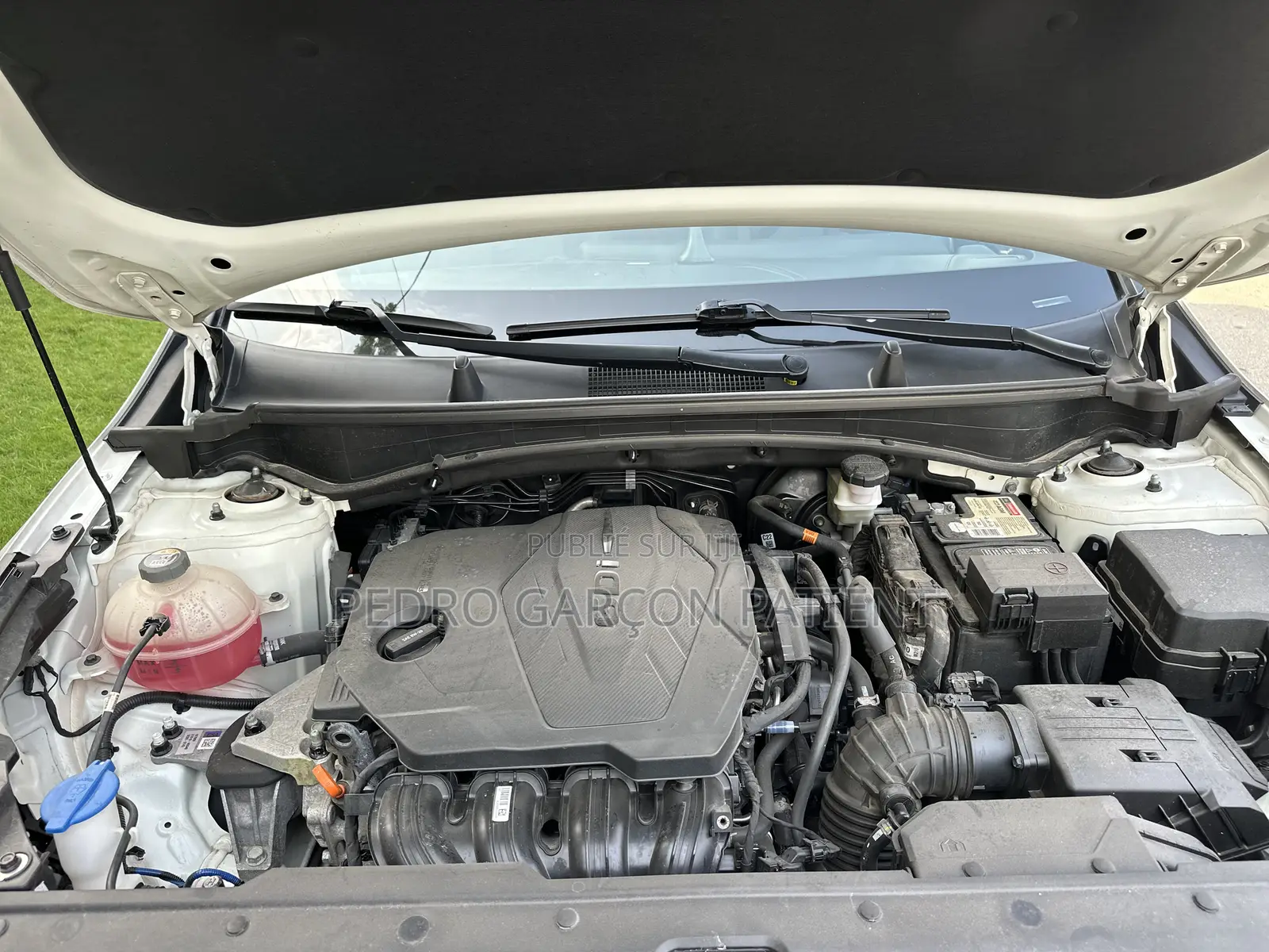 Kia Sportage 2023 Blanc