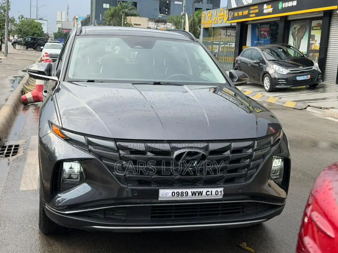 Hyundai Tucson Limited 2022 Gris