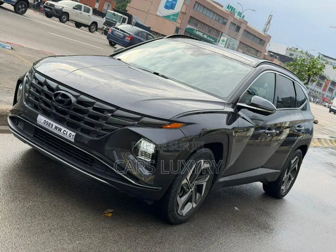 Hyundai Tucson Limited 2022 Gris