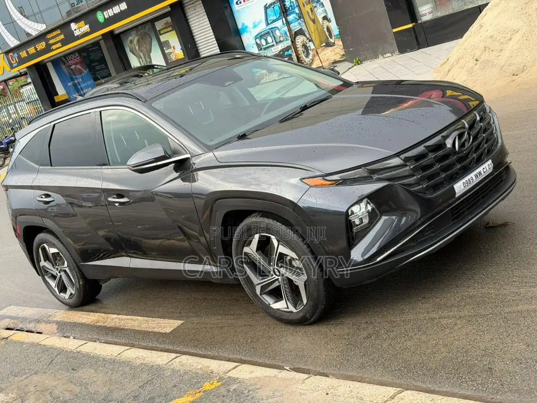 Hyundai Tucson Limited 2022 Gris
