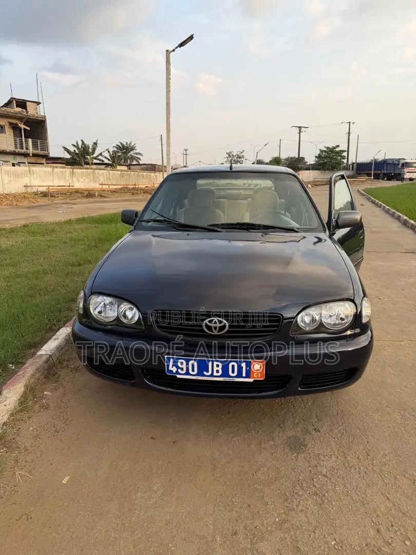 Toyota Corolla 1.4 Sedan 2002 Gris