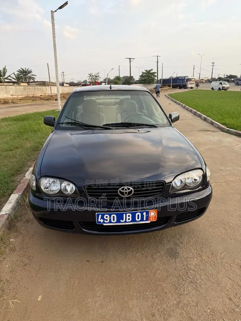 Toyota Corolla 1.4 Sedan 2002 Gris