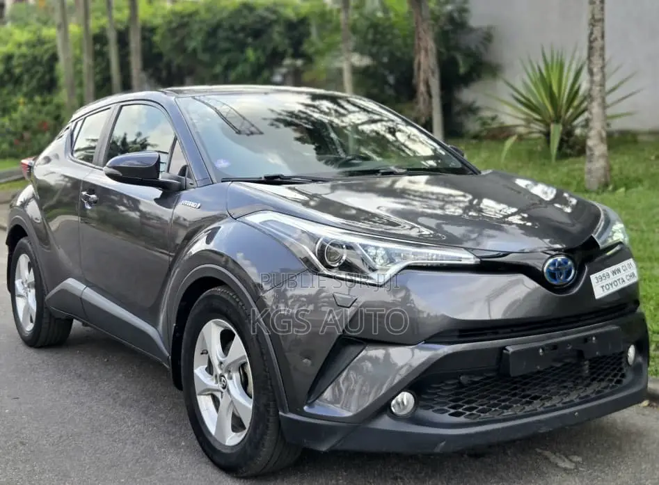 Toyota C-HR 2020 Gris