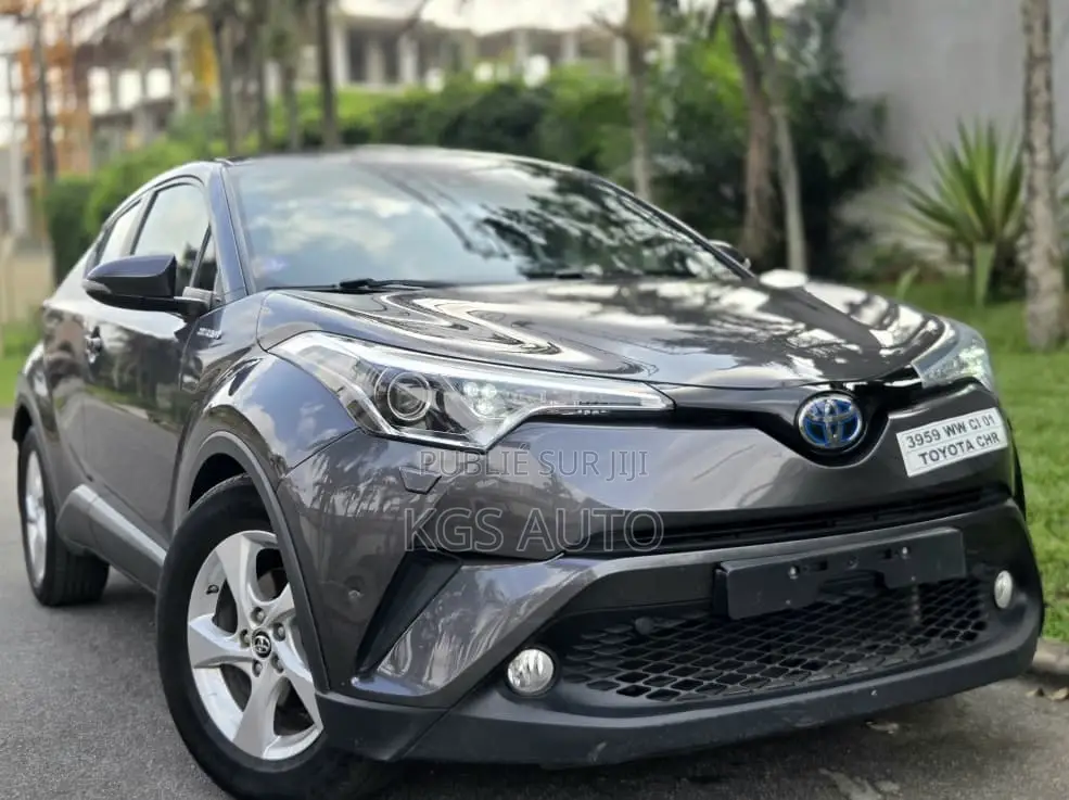 Toyota C-HR 2020 Gris