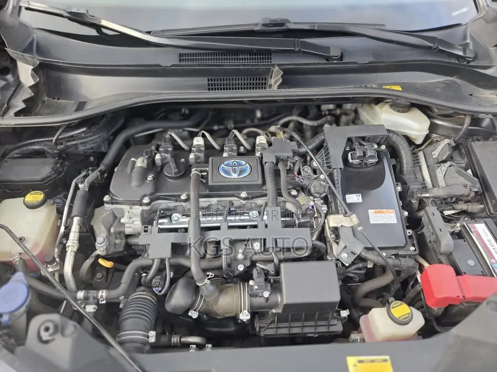 Toyota C-HR 2020 Gris