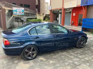 BMW 318i 2002 Blue