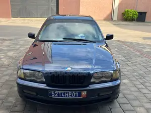 BMW 318i 2002 Blue