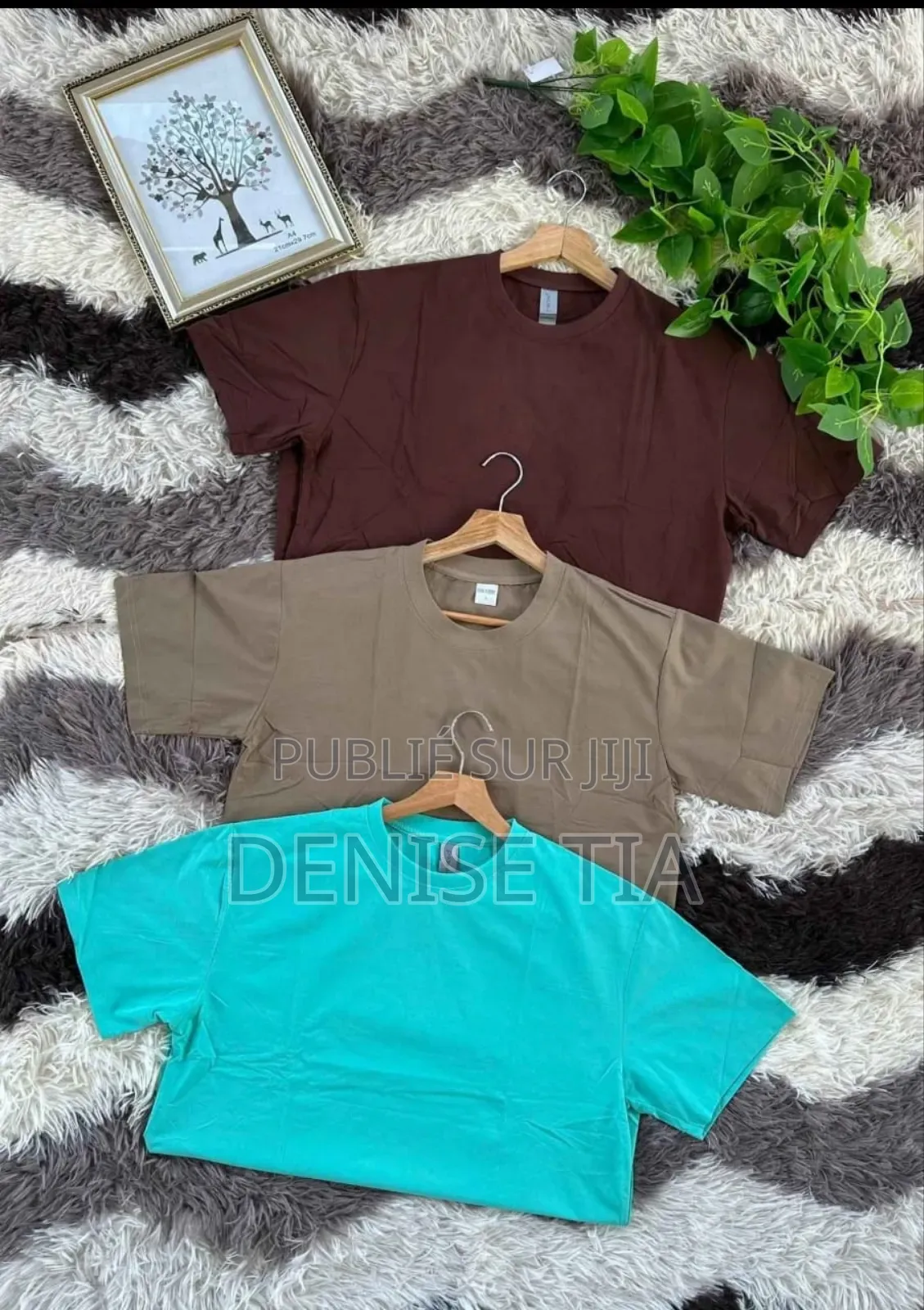 La Simplicité Existe en Plus De 50 Couleurs