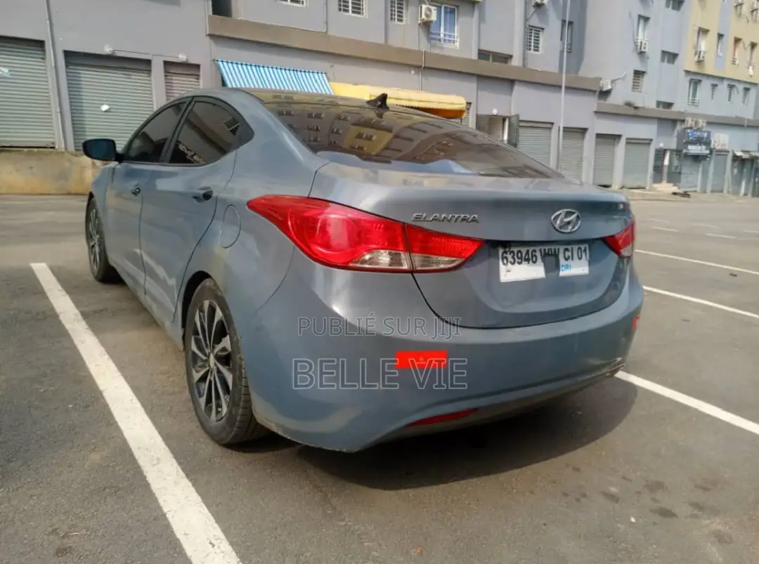 Hyundai Elantra 2010 Blue