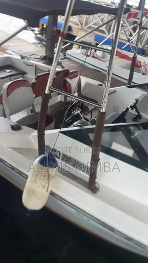 En Vente Bateau Jeanneau Cap Camarat 7.5 Br 200cv Mercury, Abidjan