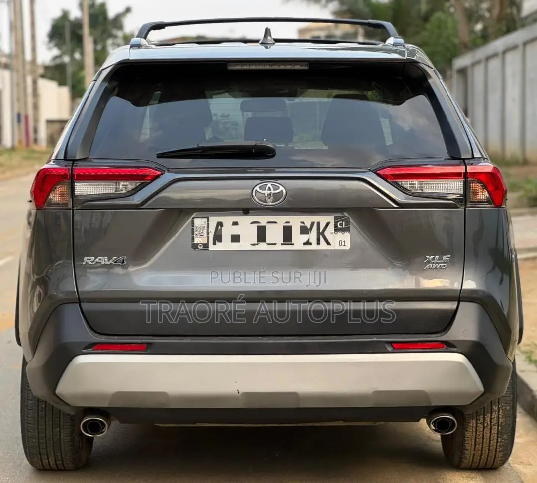 Toyota RAV4 XLE AWD 2020 Gris
