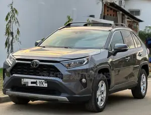 Toyota RAV4 XLE AWD 2020 Gris