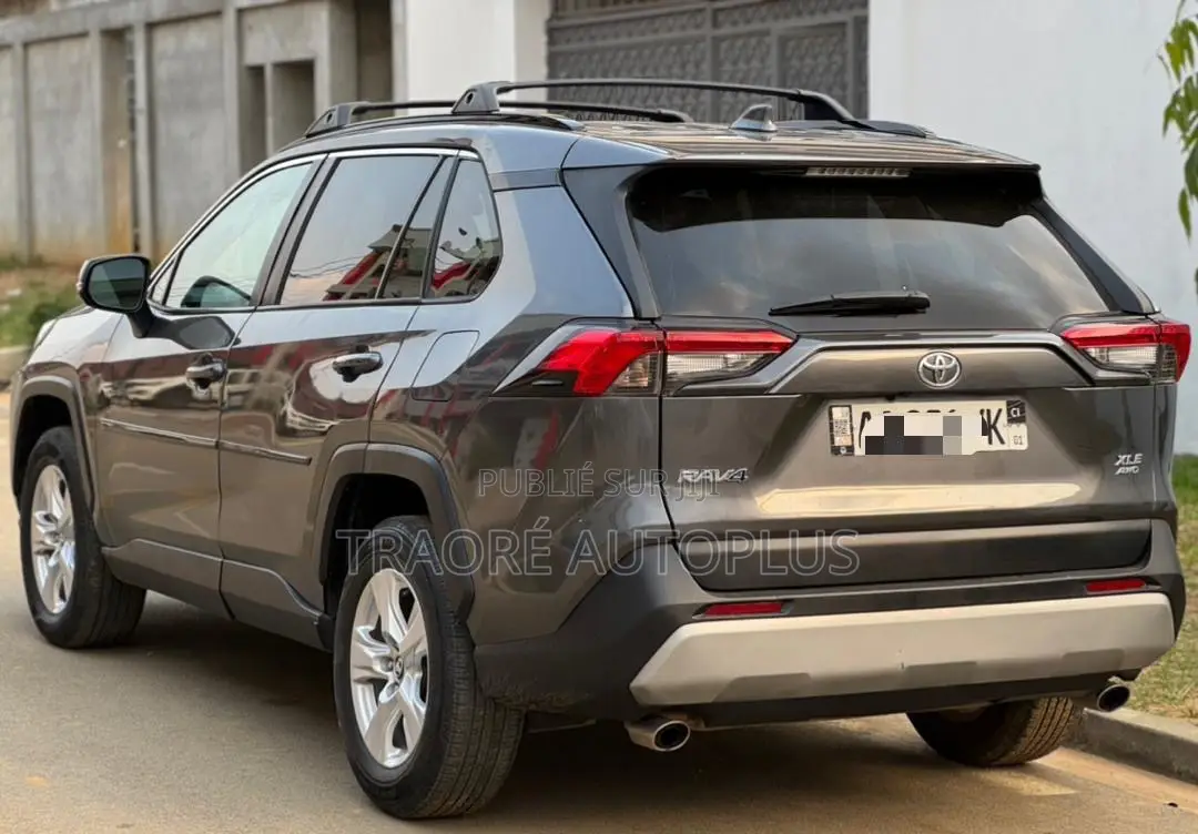Toyota RAV4 XLE AWD 2020 Gris