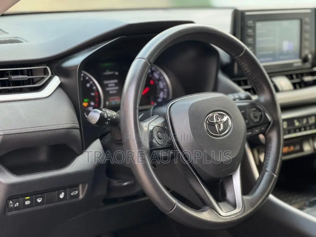 Toyota RAV4 XLE AWD 2020 Gris