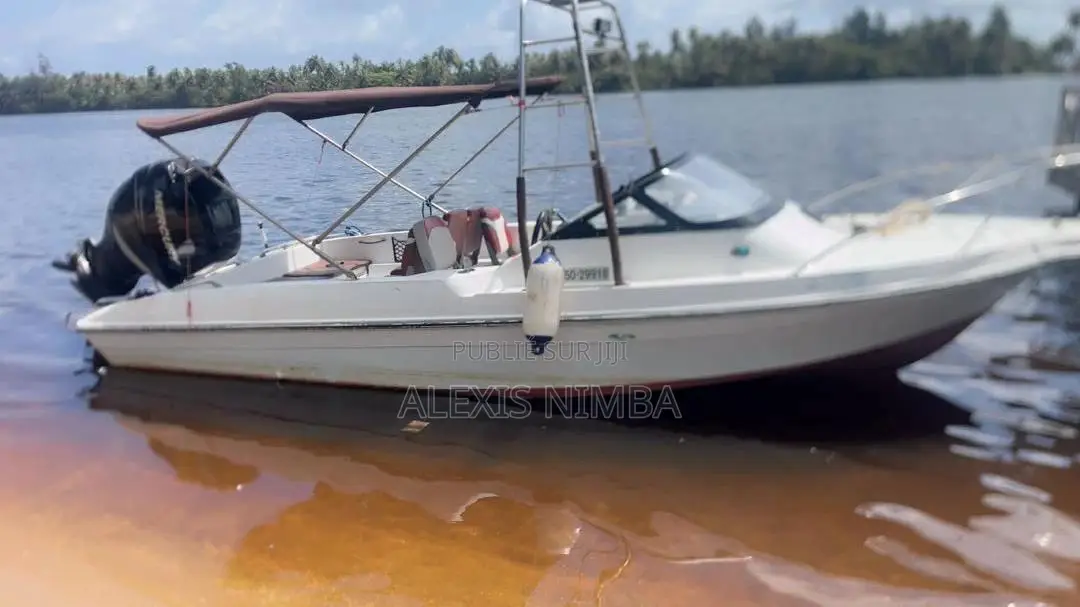 En Vente Bateau Jeanneau Cap Camarat 7.5 Br 200cv Mercury, Abidjan