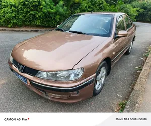 Peugeot 406 2002 Marron