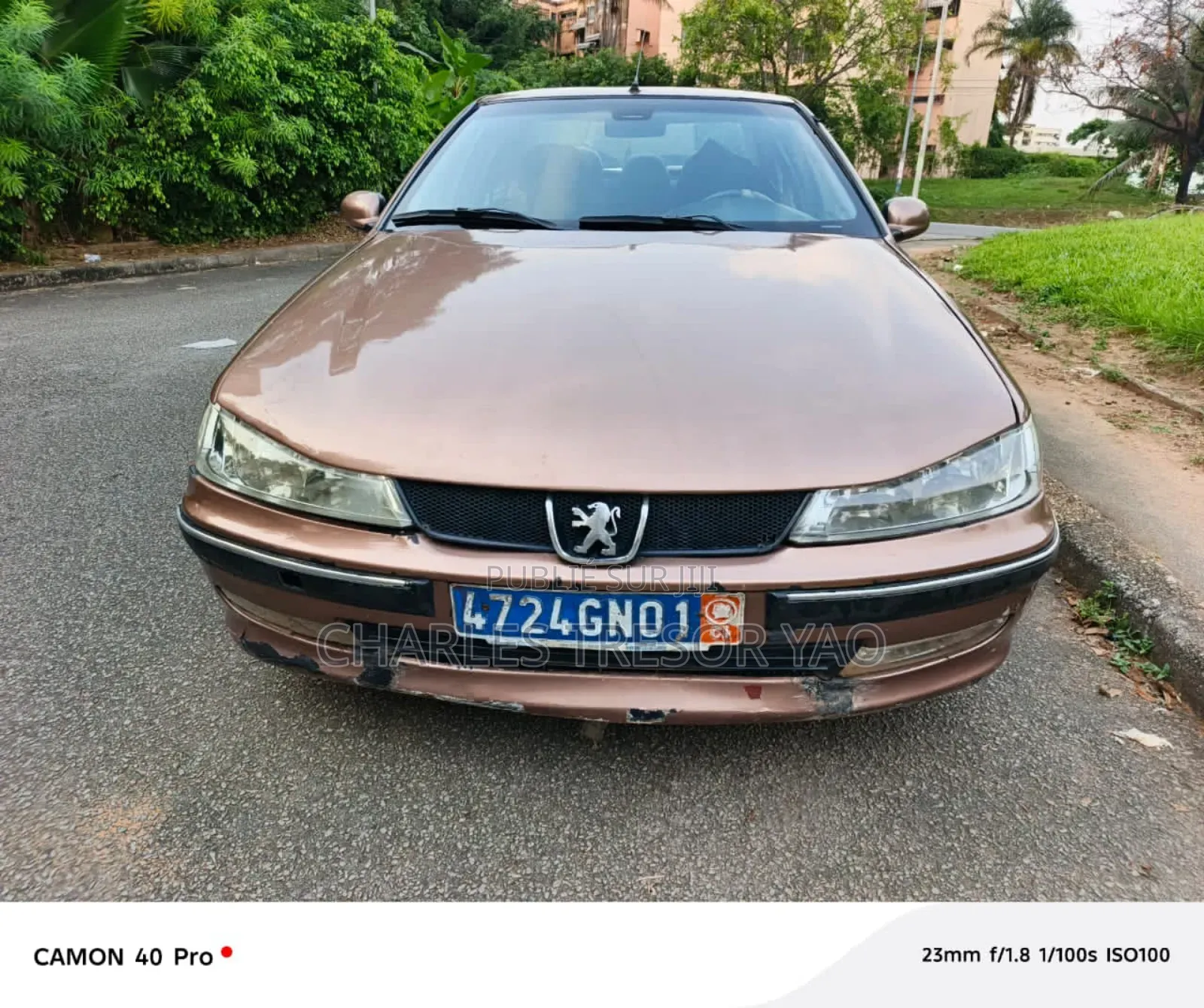 Peugeot 406 2002 Marron