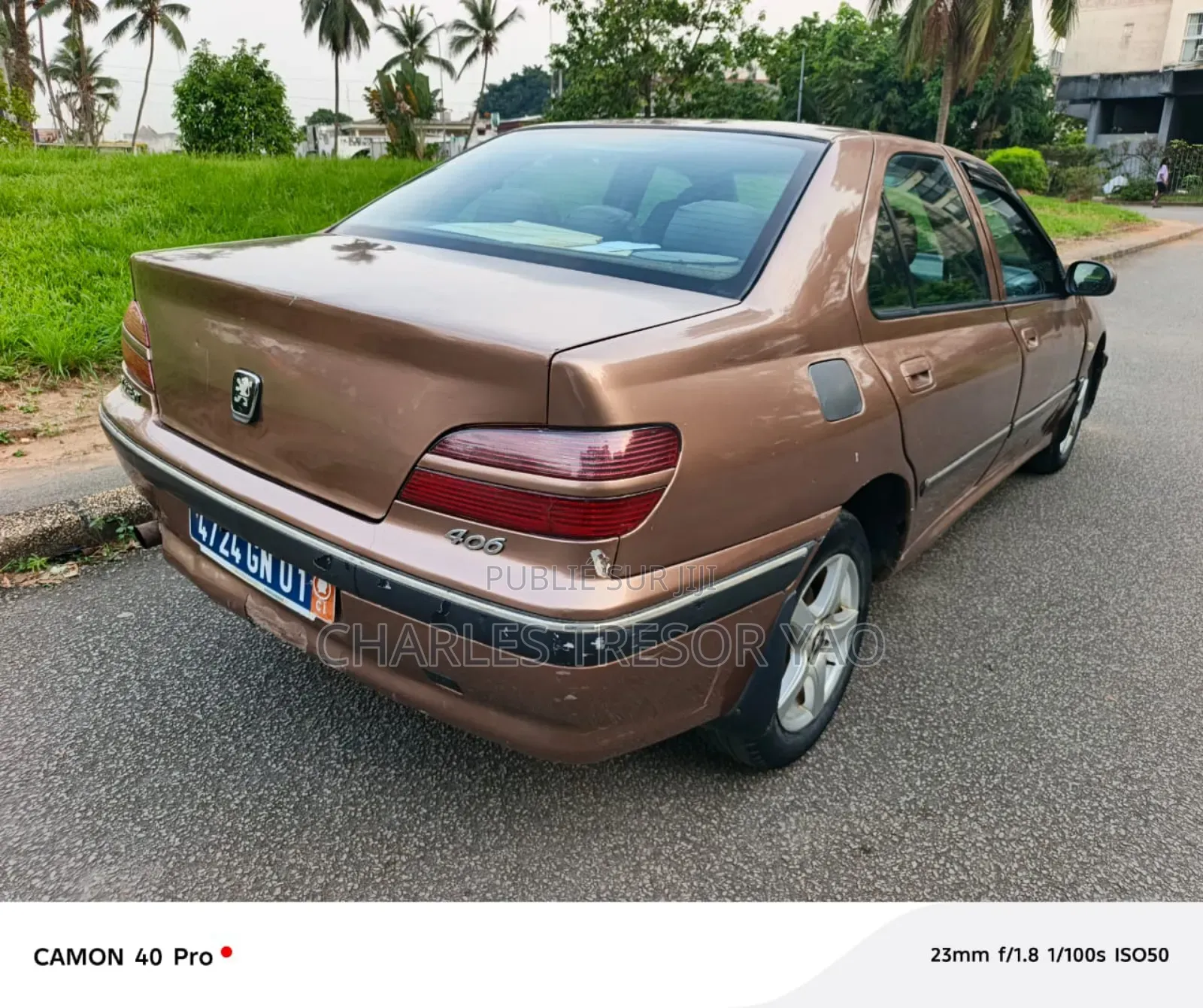 Peugeot 406 2002 Marron