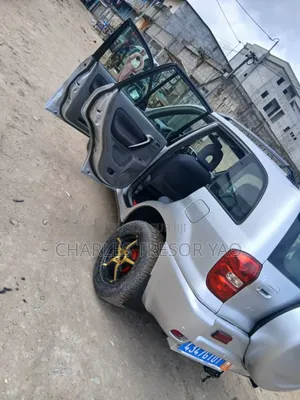 Toyota RAV4 2005 Gris