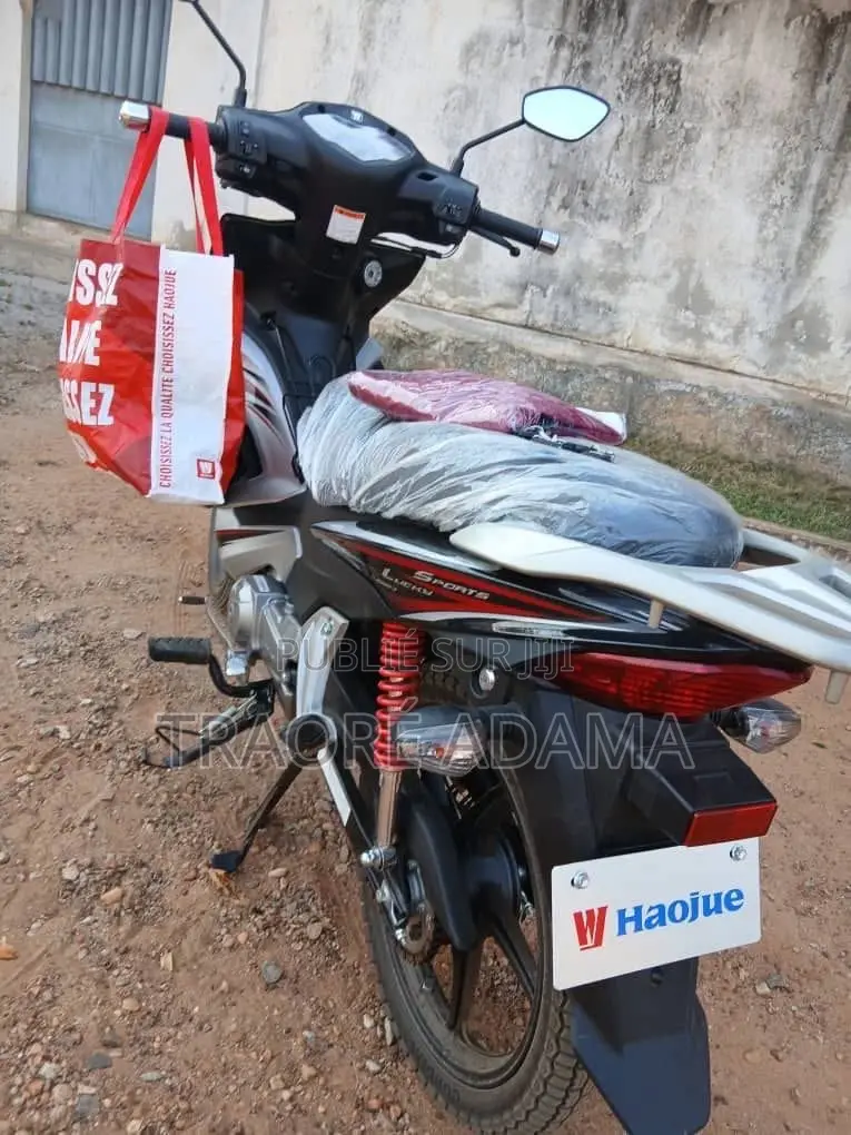 New Haojue HJ110-3 2020