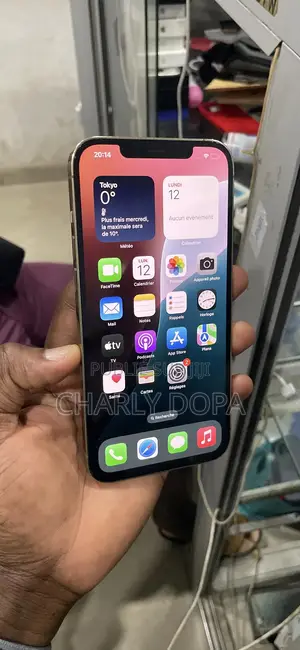 Apple iPhone 12 Pro Max 128 GB Doré