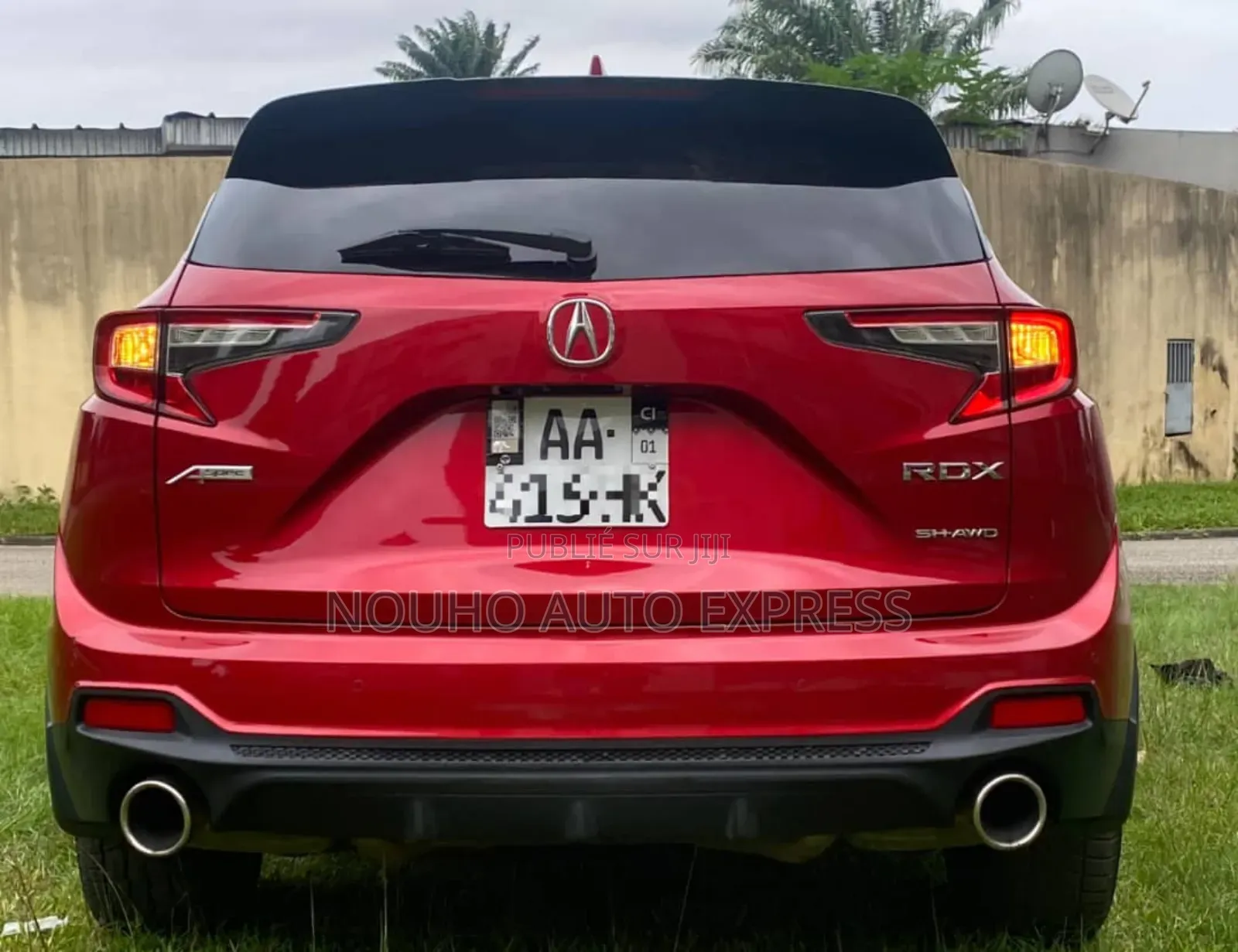 Acura RDX 2019 Rouge