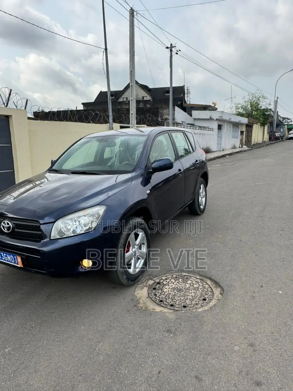Toyota RAV4 2009 Blue