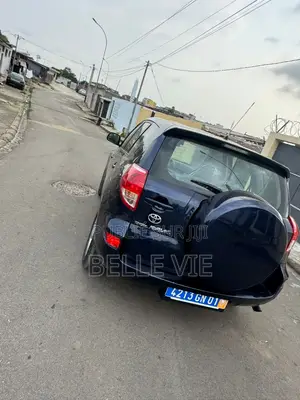 Toyota RAV4 2009 Blue
