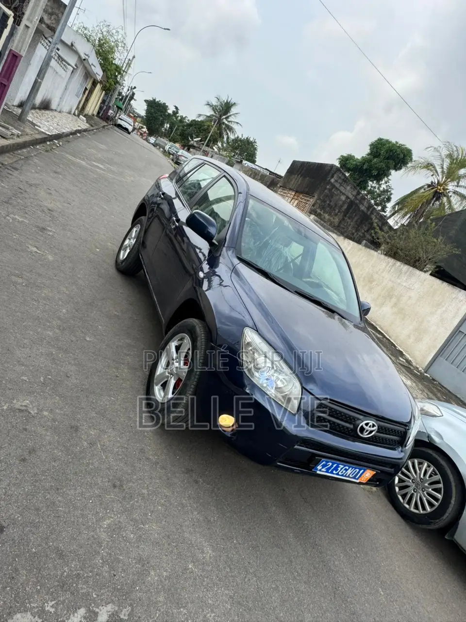 Toyota RAV4 2009 Blue