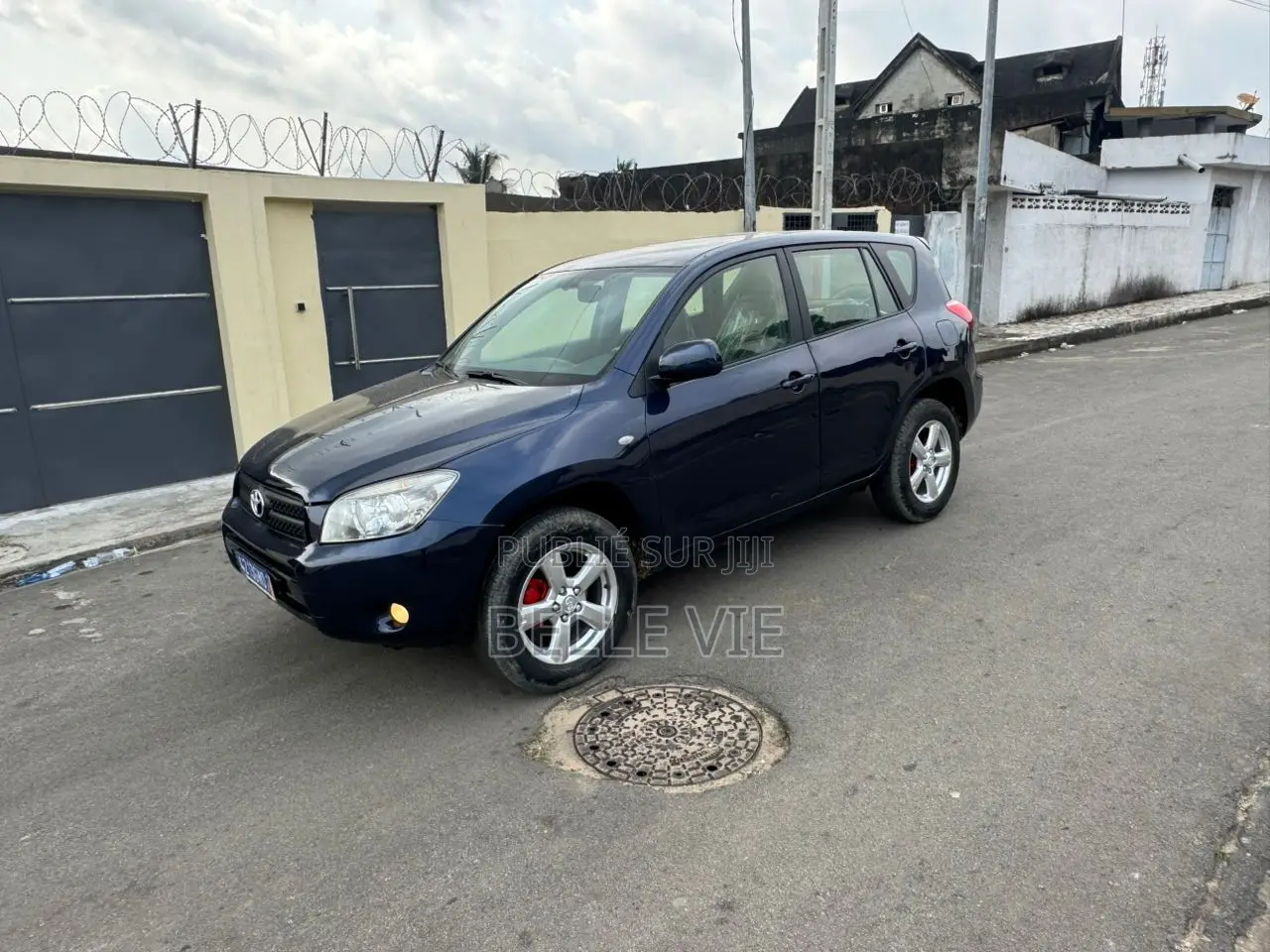 Toyota RAV4 2009 Blue