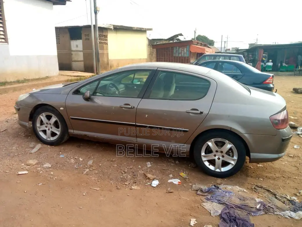 Peugeot 407 2005 Beige