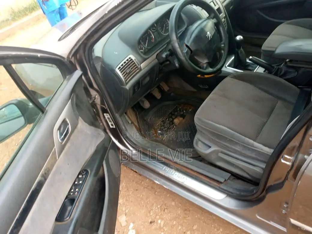 Peugeot 407 2005 Beige