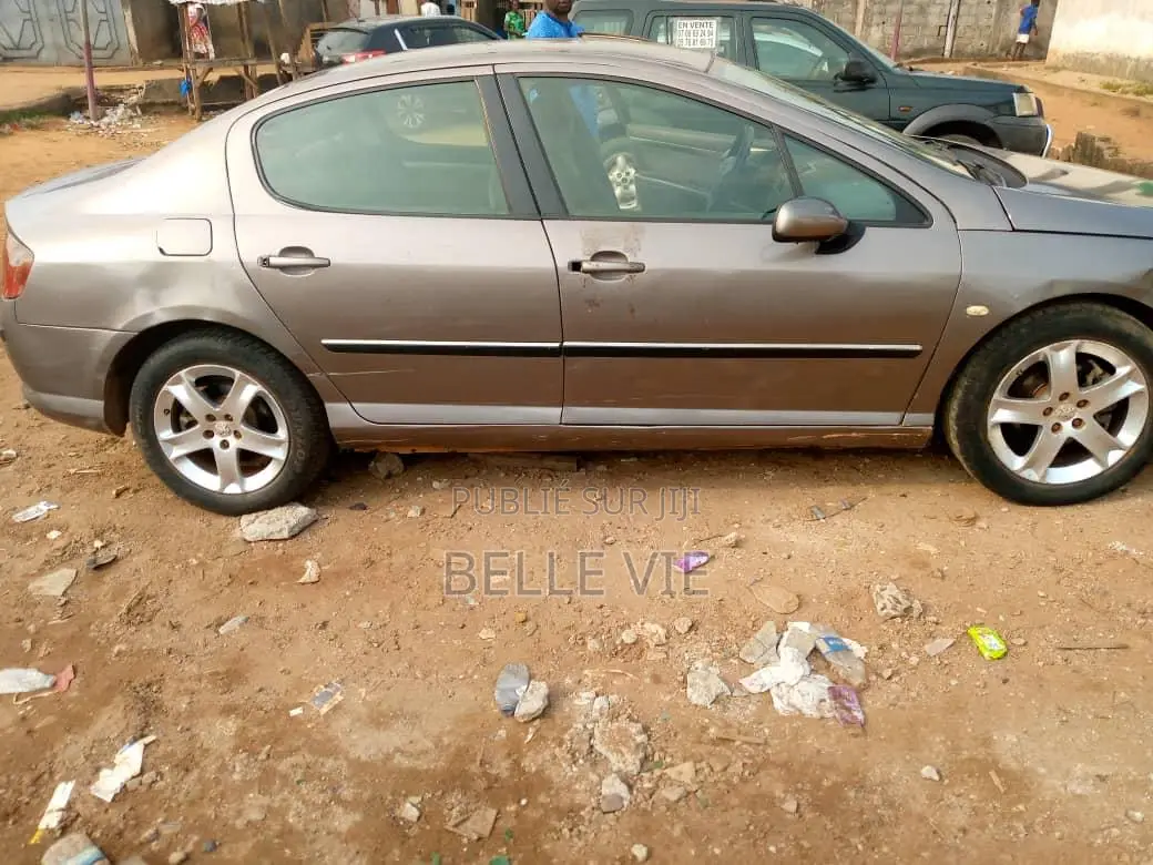 Peugeot 407 2005 Beige