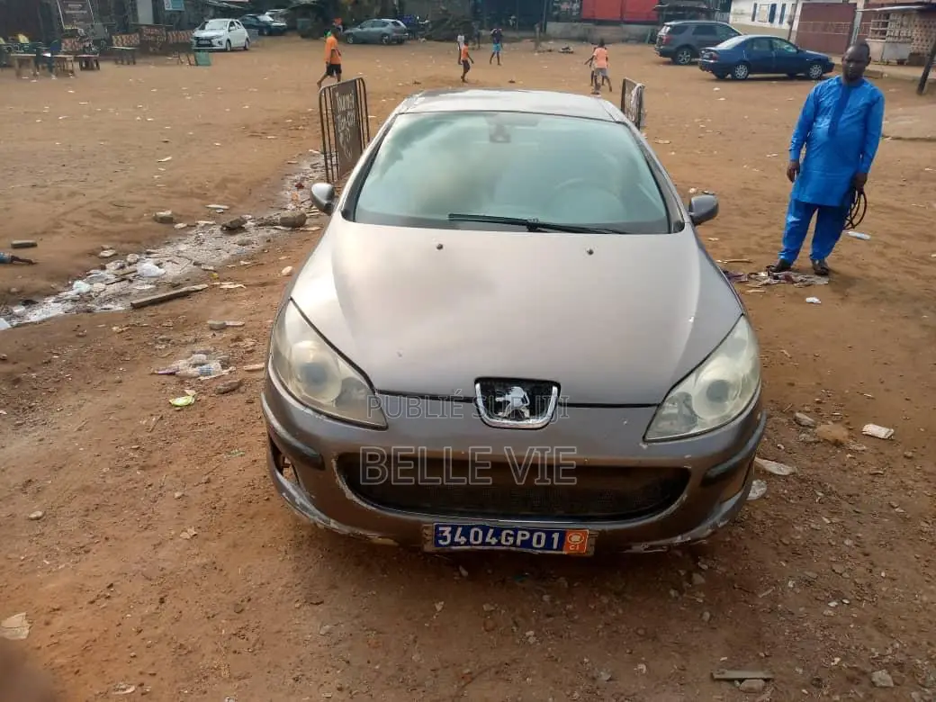 Peugeot 407 2005 Beige