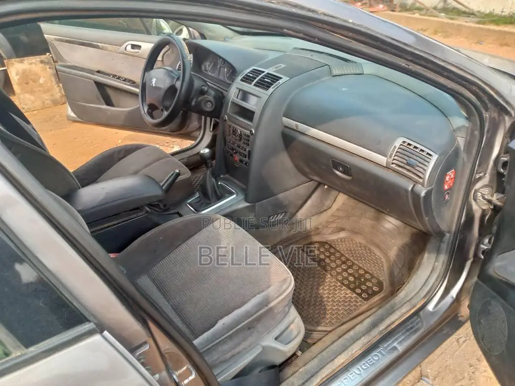 Peugeot 407 2005 Beige