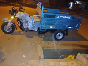 New Apsonic AP150ZH-175 2018