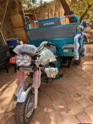 New Apsonic AP150ZH-175 2018