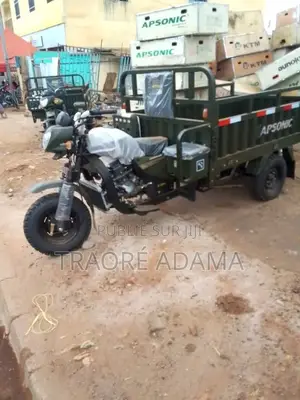 New Apsonic AP150ZH-175 2018