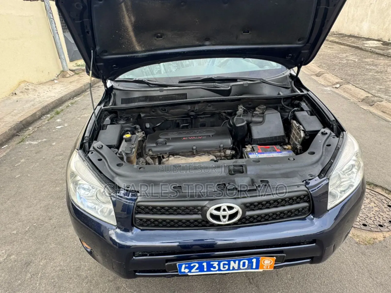 Toyota RAV4 2009 Blue